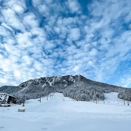 Koca Martuljek * Gozd Martuljek