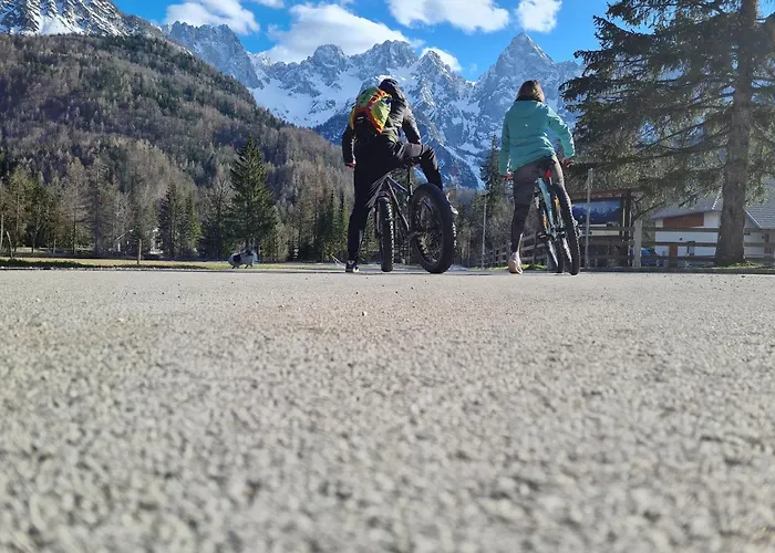 Koca Martuljek Tatil Evi