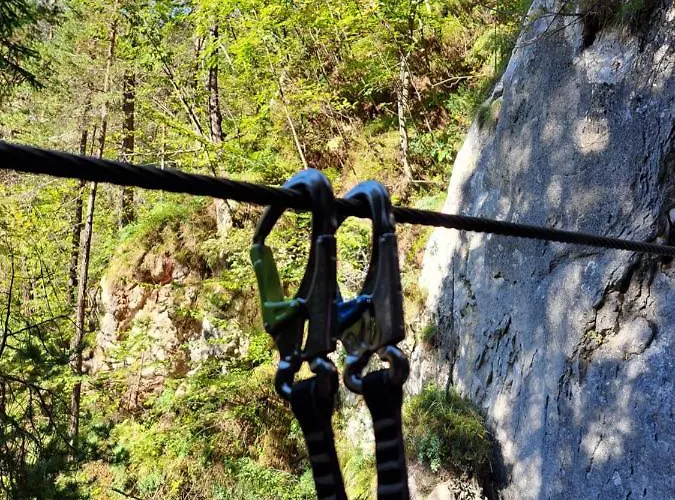 Tatil Evi Koca Martuljek