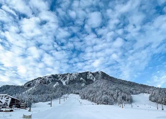 Koca Martuljek * Gozd Martuljek