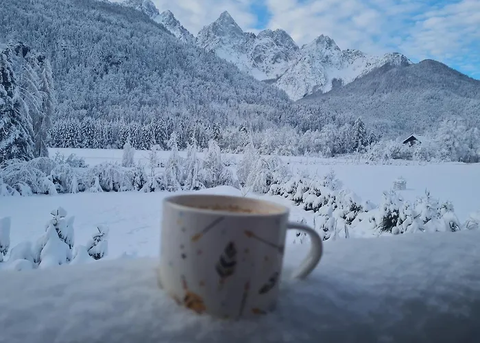 Koca Martuljek Tatil Evi